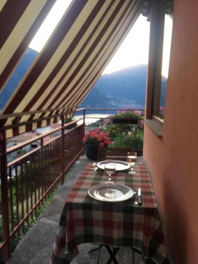 Le Vetrate Sul Lago Lake Como Amazing View 内索 外观 照片
