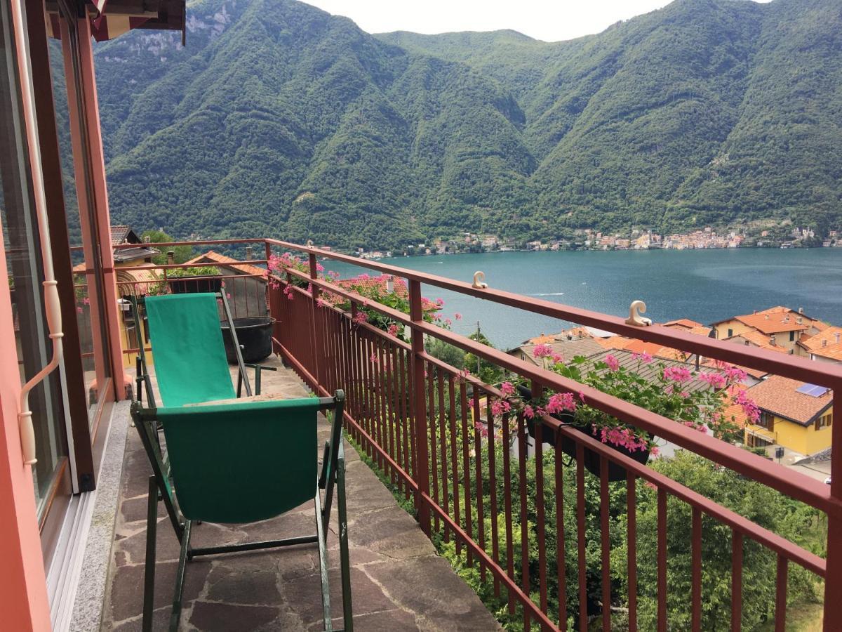 Le Vetrate Sul Lago Lake Como Amazing View 内索 外观 照片