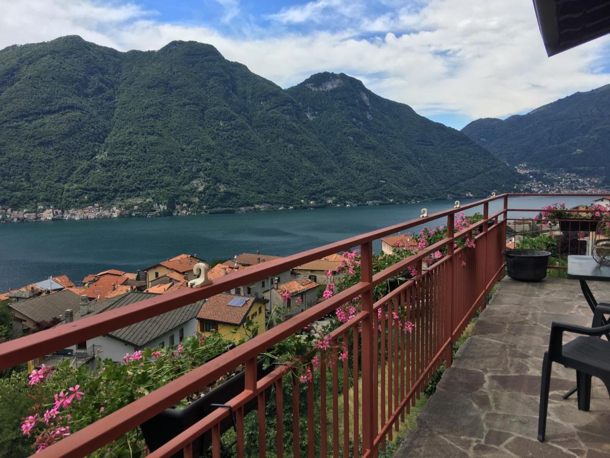 Le Vetrate Sul Lago Lake Como Amazing View 内索 外观 照片