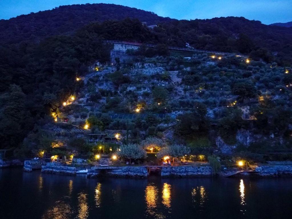 Le Vetrate Sul Lago Lake Como Amazing View 内索 外观 照片