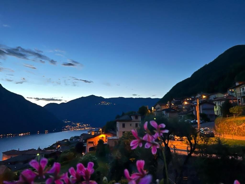 Le Vetrate Sul Lago Lake Como Amazing View 内索 外观 照片